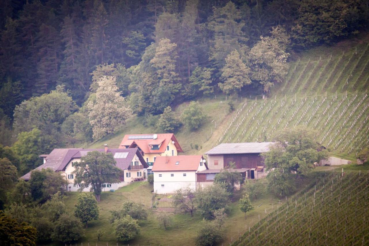 Апартаменти Weinbau Pronegg Vlg. Krainz Лойчах Екстер'єр фото